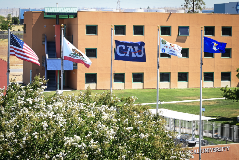 cau-flags