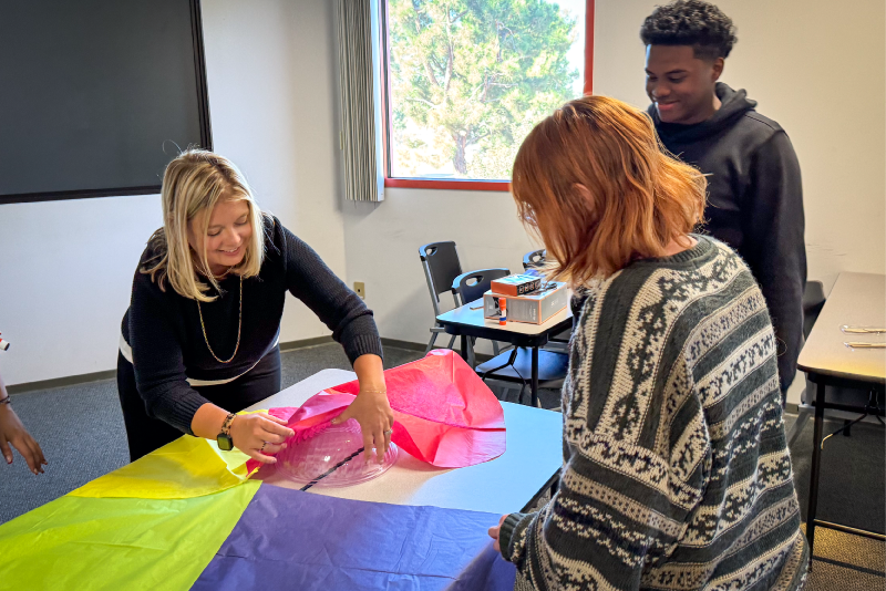 navispire-simplifying-stem